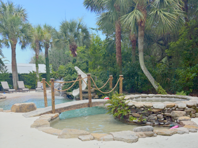 Backyard Oasis